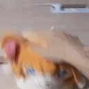goodnari