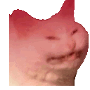cattorage