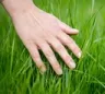 touchgrass