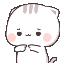 mochicatshy