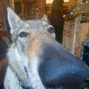 eb70846ee9d143ee9bcea42bbdf27cdb