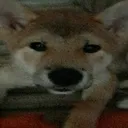 743ec366a7464a438c89cbd631b3a711