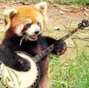 redpanjo redpanjo