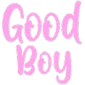 goodboy