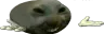 xddshrug