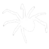 whitespider