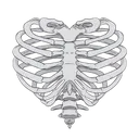 ribheart