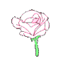 alym