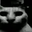 doomge doomge