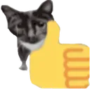thumbcat