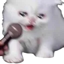 cat_cryingattheclub_cc Discord Emoji