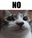 no