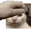 GatoPat