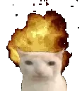 catBoom