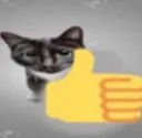 CatThumbsUp
