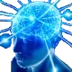 BigBrain