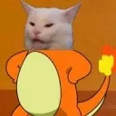 catmander