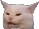 Cat_ree