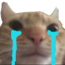 :UwU_cry: