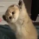 703_cathihihihi Discord Emoji