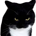 evil