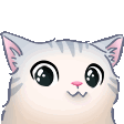 wgatoblush
