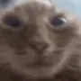 muh
