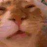 puh