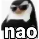 imagem_20230607_104158707