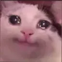 skitty_cry