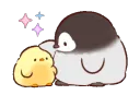 pat pat
