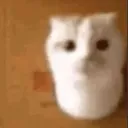 __