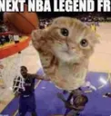 catNBA Discord Emoji