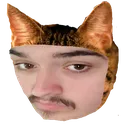LO_catian Discord Emoji
