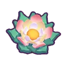 lotusflower