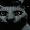 fear