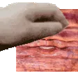 PetTheWorm