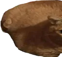 OsvIrl1