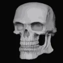skull_rotate