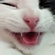 teenKEK