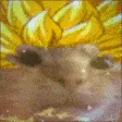 saiyan