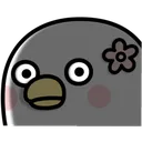 ChicSerious