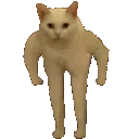 smallcatstand
