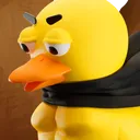 duck_wise
