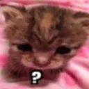 buh