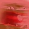reeeeeeeeeeee
