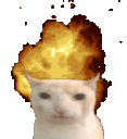 Catexplode catexplode Discord Emoji
