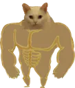 SwoleStand