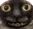 jijiStare jijiStare