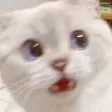 Emoji_1